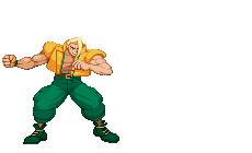 Street fighter 030